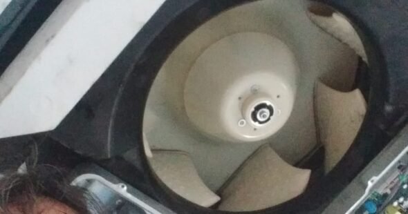 WhatsApp Image 2026-02-26 at 14.08.12